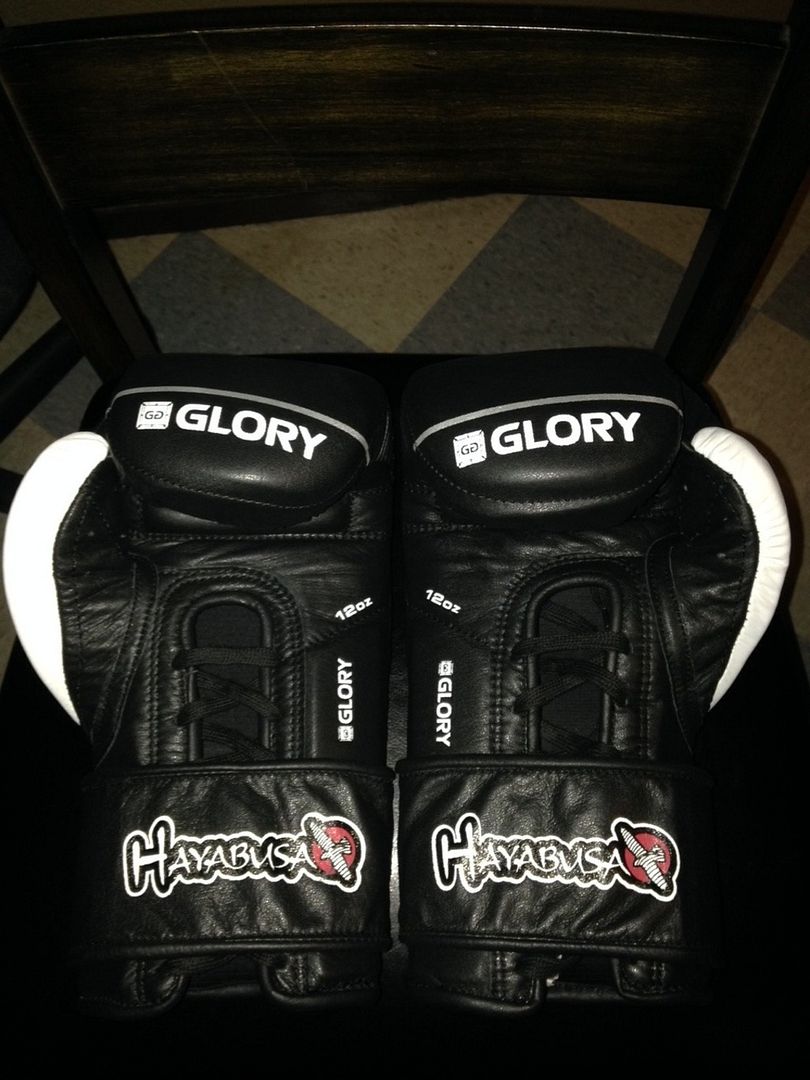 Hayabusa Glory 12oz VLace Sherdog Forums UFC, MMA & Boxing Discussion