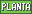 -Planta-