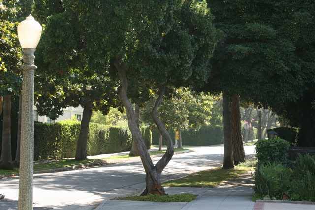 pasadena neighborhood photos