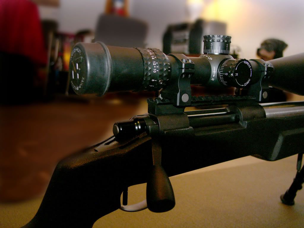 65x284bolt.jpg