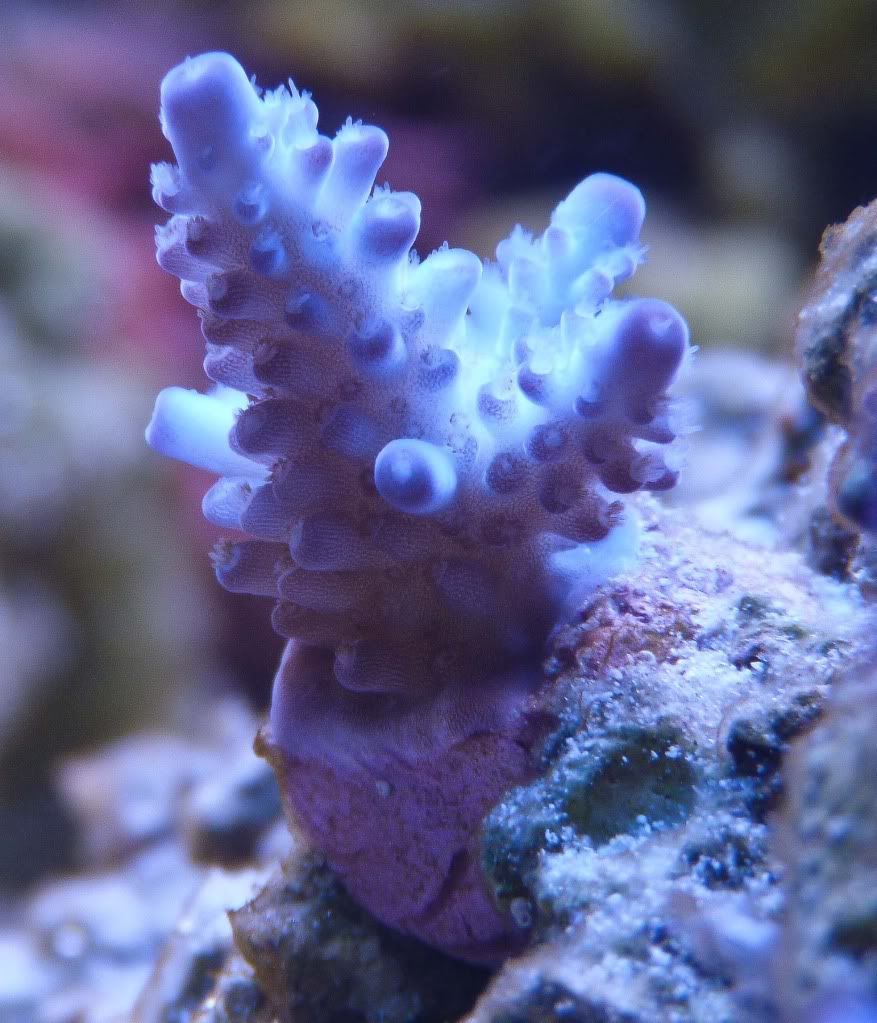 P1010131.jpg