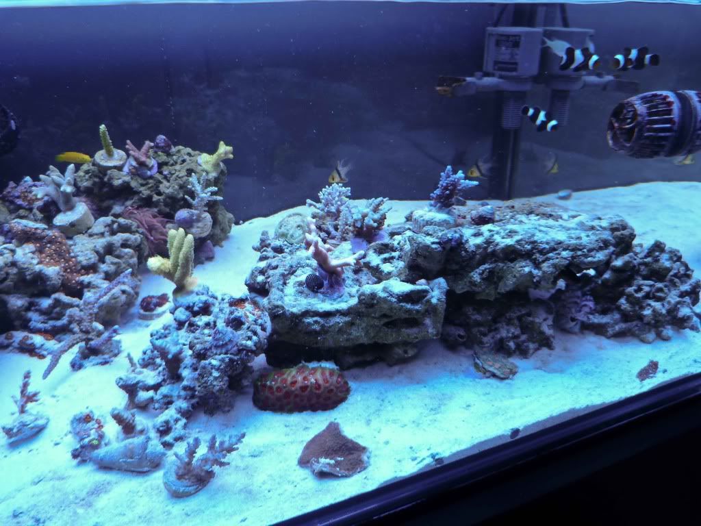 P1010201.jpg