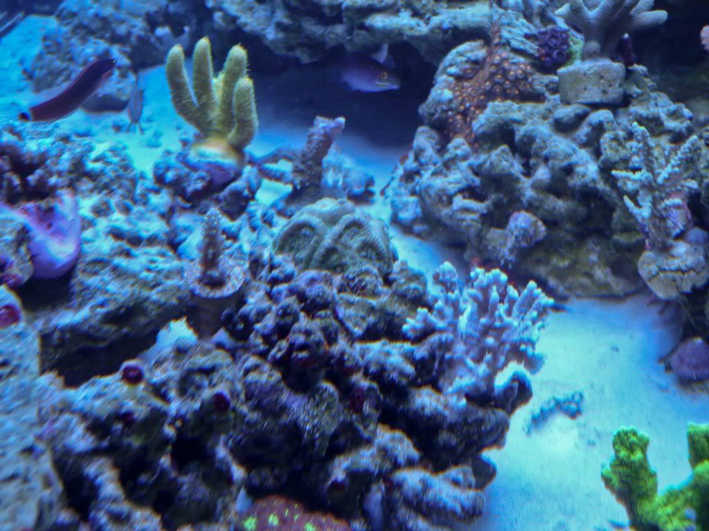 P1010216.jpg