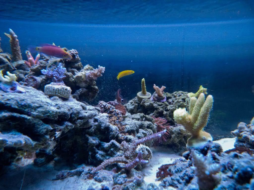 P1010491-2.jpg