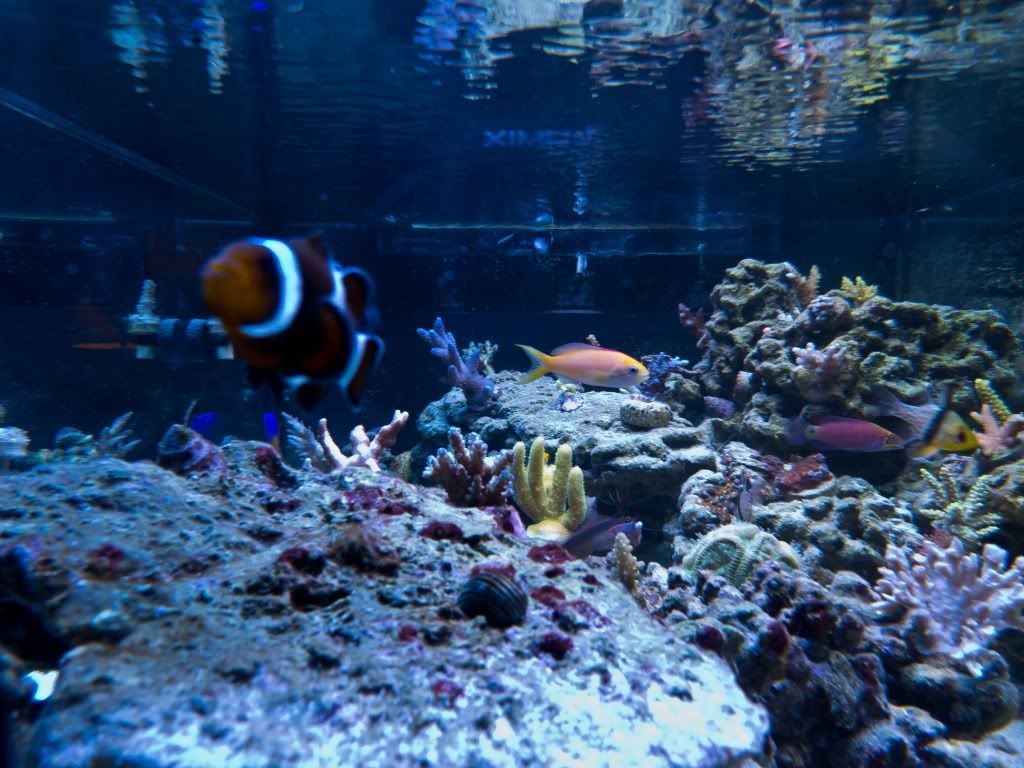 P1010493.jpg
