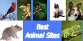 Best Animal Sites