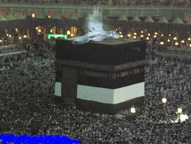 Jin In Kaba