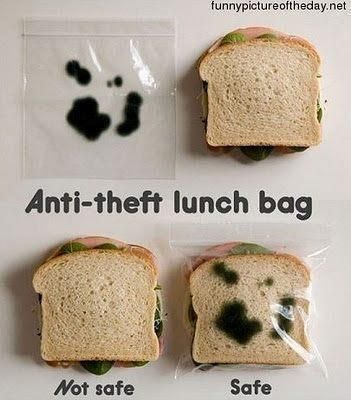 anti-theft-lunch-bag_zpsdbf4d76c.jpg