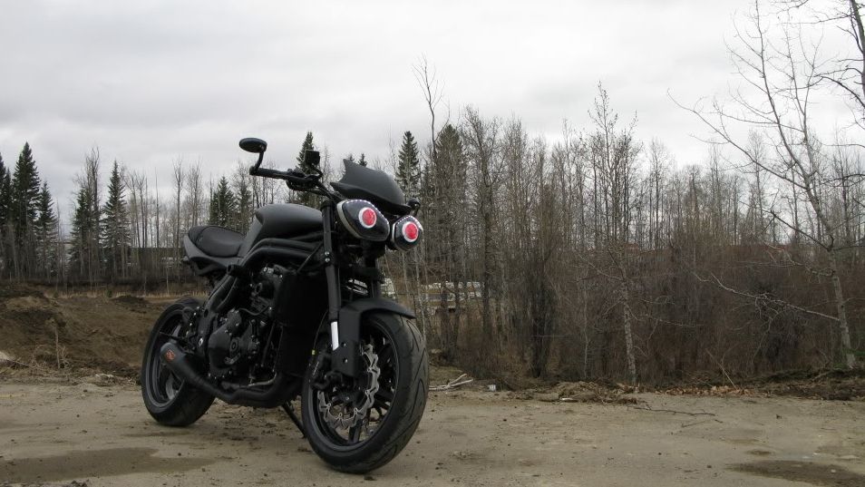 sv650 tail tidy