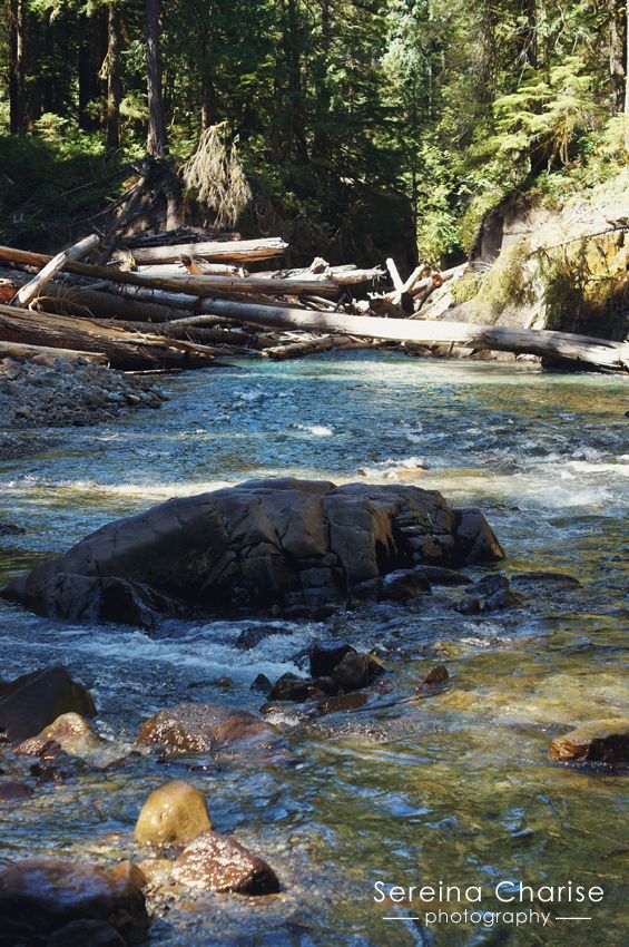 Ohanapecosh River