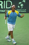 Davis Cup 2010