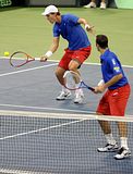 Davis Cup 2010,Coupe Davis