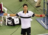 US Open 2010,Tennis