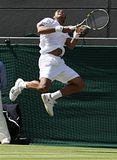 Wimbledon 2010 Tennis
