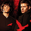 Supernatural,Jensen Ackles,Jared Padalecki