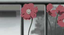Flowers Gif Pictures, Images and Photos