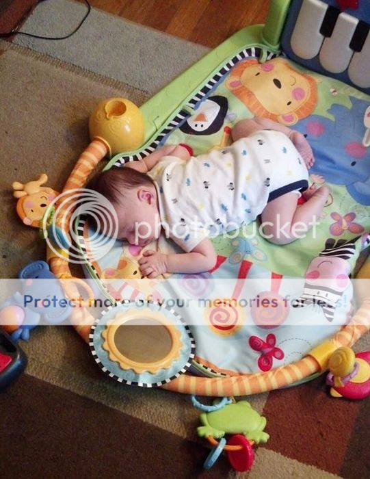 photo 73ede358-afad-4202-8891-d78e8ebb7104_zpsc9c72fa2.jpg