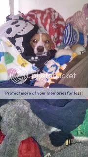 Photobucket